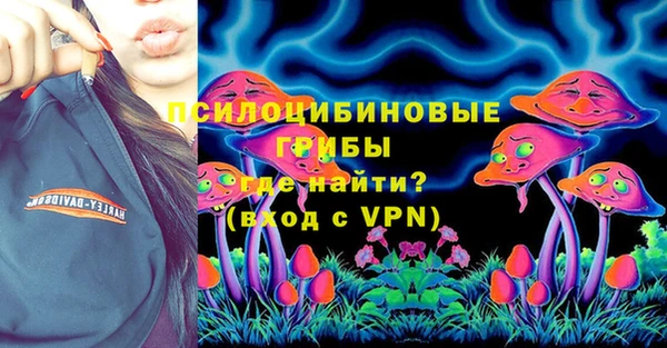 хмурый Алексеевка