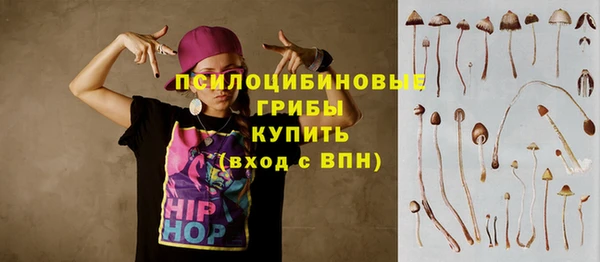 хмурый Алексеевка