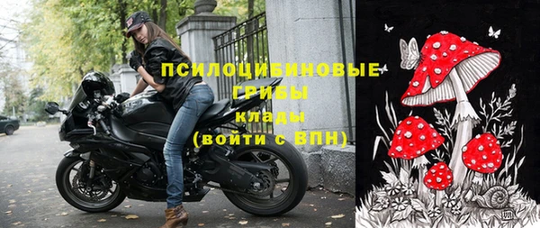 дурь Алексин