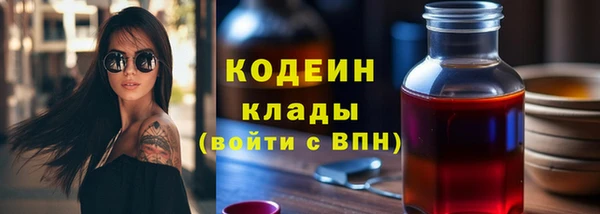 дурь Алексин