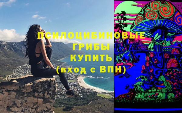 дурь Алексин