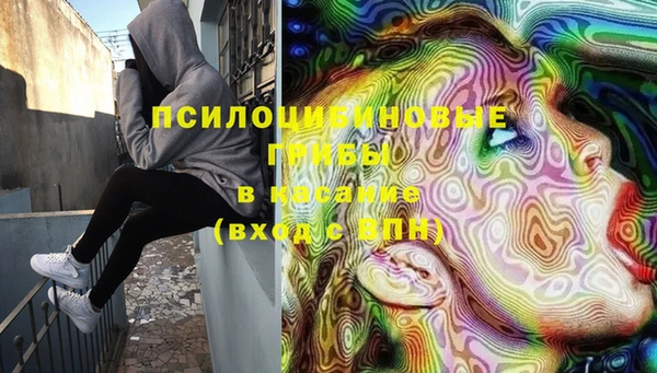бошки Алзамай