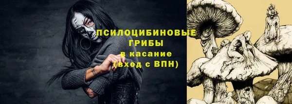 хмурый Алексеевка