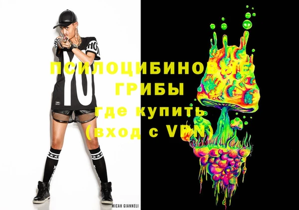 дурь Алексин