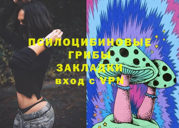 хмурый Алексеевка