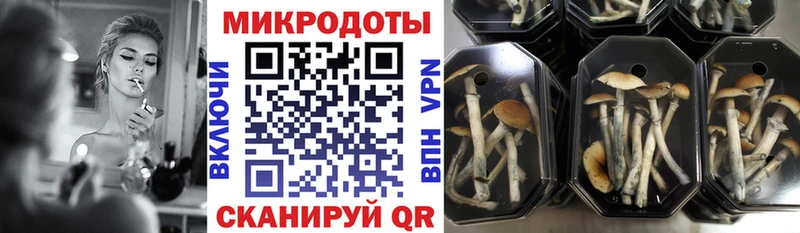 Псилоцибиновые грибы MAGIC MUSHROOMS  где найти наркотики  мега tor  Игарка 